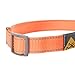 Browning Classic Preformance Webbing Pet Collar, Fully Adjustable, Available in Solid Colors and Camo Patterns, Safety Orange, Medium