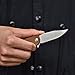 TANGRAM Folding Pocket Knife 2.76 inches ACUTO440 Clip-Point Sharp Blade Liner Lock G10 Handle Flipper Knives,AZO Amarillo TG3001A2