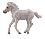 CollectA Fjord Foal, Grey