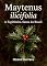 Livro Maytenus ilicifolia: A Espinheira-Santa do Brasil. (Bioeconomia & Bionegócios)