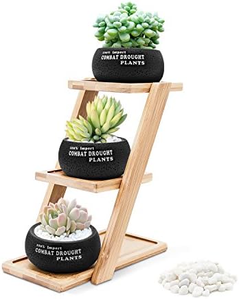 2.95(pot) Inch Round Black Succulent planter, PUAIDA Succulent Pots for Plants with Bamboo Tray and Stone for Home Decor, Room Decor, Gifts for Women- Set of 3