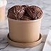 16 oz Pint Disposable Paper Food Storage Containers with Vented Lids, Pack of 25. Biodegradable, Compostable, Great for Soups, Ice Cream, ‘to Go’ Lunch, Hot & Cold Meals. Kraft Brown