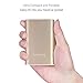 Lumsing 10050mAh Portable Charger External Battery Power Bank for iPhone SmartPhones Tablets (gold)
