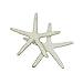 LJY 25 Pieces 3.15 Inches Beige Resin Pencil Finger Starfish for Wedding Home Decor and Craft Project