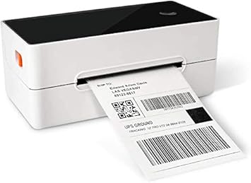 software printer epson lx 310