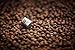 Cap'Mundo Paris 50 Pods for Nespresso Original Line Machines – Organic, 100% Arabica – French Artisanal Espresso (Organic Copaiba, 50 Capsules)