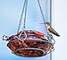 Nature's Way Bird Products GHF5 Hand Blown Garden Top Fill Hummingbird Feeder, 16 oz Capacity, Molten