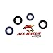 All Balls Rear Wheel Bearing & Seal Kit 25-1168