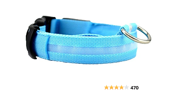 play safe dog collars