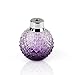 Lot 5 pcs Crystal Art Vintage Style Refillable Perfume Atomizer Long Spray Bottle (Purple)(100ml)