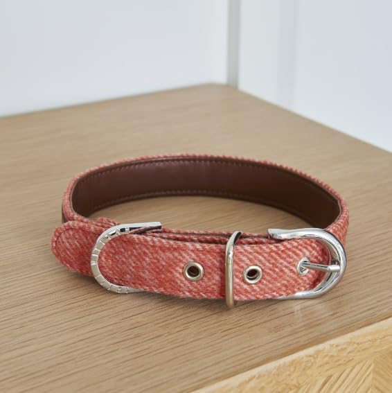 Tweed Dog Collar - Orange (Medium)