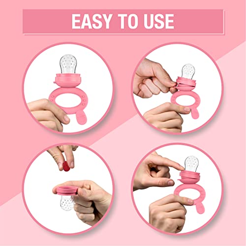 Luxior Fruit Feeder Baby Set Raspberry/Fruit Feeder for Baby + 3