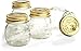 Bormioli Rocco Quattro Stagioni 8-1/2-Ounce 4-Piece Canning Jar Set, Gift Boxed