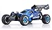 Exceed RC 1/10 2.4Ghz Forza .18 Engine RTR Nitro Powered Off Road Buggy Storm Blue