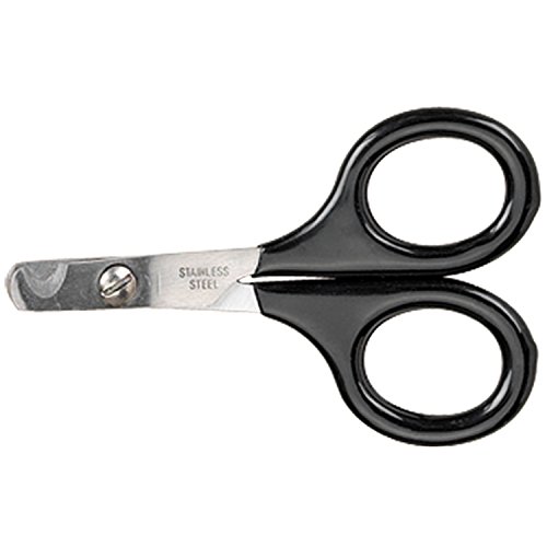 Master Grooming Tools Pet Nail Scissors - Stainless Steel Scissors for Trimming Nails on Cats and Birds - Small, 3Â½"