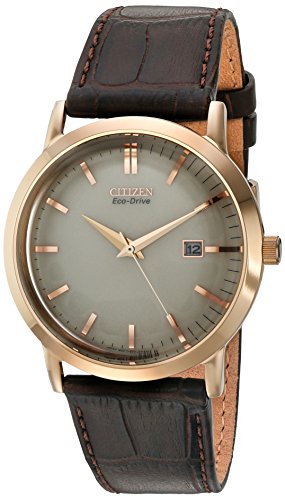 Citizen Men's BM7193-07B Brown Leather Strap Eco-Drive Watch