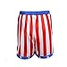 AMNPOLEN Adult Mens American Flag Boxing Satin Shorts Trunk Costume (Large)