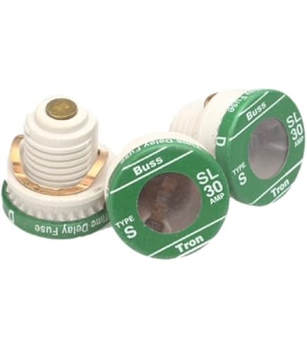 Bussmann S-30 30 Amp Type S Time-Delay Plug Fuse – 125V, Dual-Element, Rejection Base, 4-Pack, UL Listed