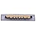 WECANDO 168 Pcs Dental Synthetic Resin Tooth Denture 6 Sets False Teeth for Halloween Horror Teeth 23 A2