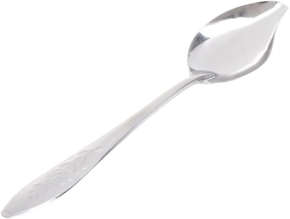 JunYe Bird's Stainless Steel Feeding Spoon Parrot's Milk Powder Spoon