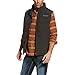 Ariat Men's Crius Vest