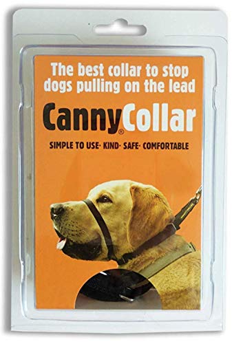 canny collar nz