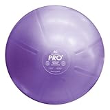 Fitter First DuraBall Pro 55cm
