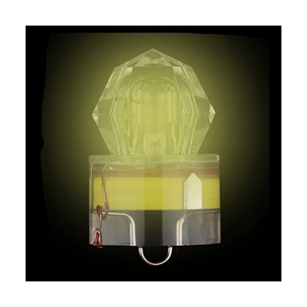bouti1583-Underwater-LED-Fishing-Flash-Light-Lure-Alarm-Bait-Diamond-Squid