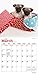 Pug Puppies 2020 7 x 7 Inch Monthly Mini Wall Calendar, Animals Dog Breeds Puppies