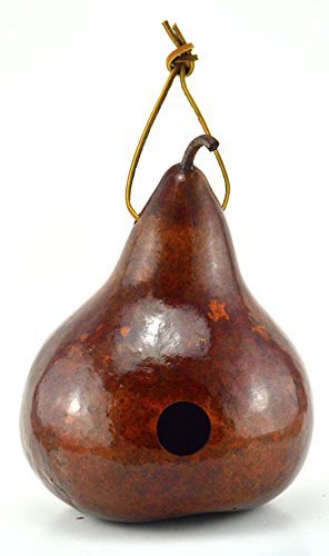 Gourd Birdhouses Painted Gourd Art Garden Art Bird Lovers Gift or Mothers Day Gift - 3 Gourd Combo