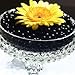 OrangeTag 1 Pound Bag of Water Beads - Black