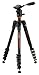VANGUARD VEO 235AP Aluminum Travel Tripod with Pan Head for Sony, Nikon, Canon, Fujifilm Mirrorless, Compact System Camera (CSC), Spotting Scope, Black, 16 x 4.75 x 4.75 inches