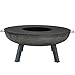 Sunnydaze 40-Inch Cast Iron Fire Pit with Cooking Ledge