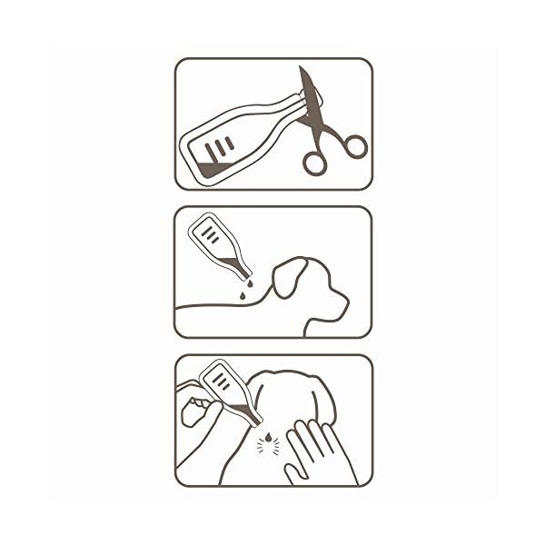 Beaphar-Fiprotec-Spot-On-Medium-Dog-6-Pipettes Beaphar | FIPROtec Spot-On for Medium Dogs (10– 20kg) | Kills Fleas & Ticks | Vet Strength Treatment | 6 Pipettes