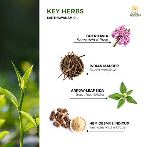Kerala Ayurveda Santhwanam Oil Daily Ayurvedic Massage Oil Supports