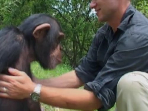 Watch Escape To Chimp Eden Season 1 Prime Video
