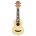Donner Soprano Ukulele 21 inch，Beginners Ukulele for Adult，Satin Mahogany & Starter Kit - Online Lesson，Gig Bag，Strap Nylon Strin Tuner Picks Cloth Ukalalee Set DUS-3