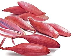 Seeds Red Shallot Onion Heirloom Vegetable for