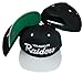 Los Angeles Raiders Black/Silver Two Tone Plastic Snapback Adjustable Plastic Snap Back Hat / Cap