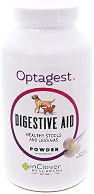 clover dog pet supply