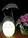 Totoro Anime LED Night Light [Green Belly], Kid's Character Lamp USB Charge, Desk Night Table Reading Lamp