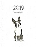 2019 Boston Terrier: Dated Weekly Planner With To Do Notes & Dog Quotes - Boston Terrier (Awesome Calendar Planners for Dog Owners) by Topwuff Books