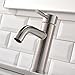 Shaco Commercial Stainless Steel Vanity Single Handle Bathroom Faucet ,Brushed Nickel Bathroom Sink Faucets