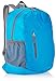 Amazon Basics Lightweight Packable Hiking Travel Day Pack Backpack - 17.5 x 17.5 x 11.5 Inches, 25 Liter, Light Blue