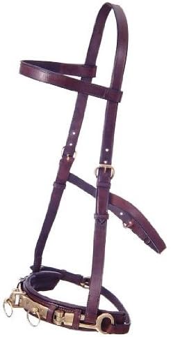 Performers 1st Choice Leather Lunge Caveson - Horse by Performers 1st Choice