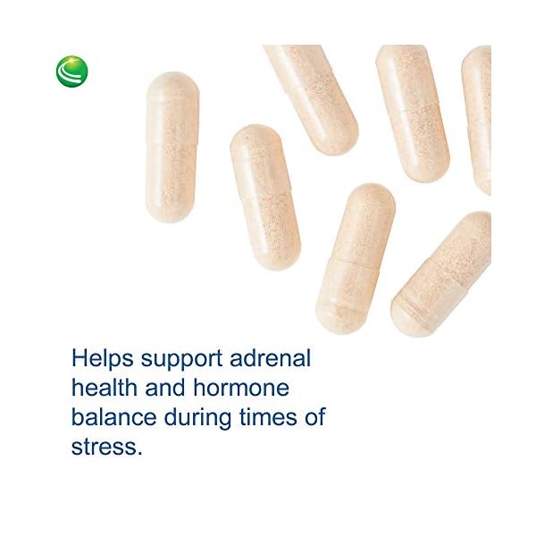 Nutra BioGenesis Adrenal Support Plus Pregnenolone, DHEA, Herbs