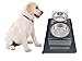 Acrylic Raised Dog Bowls 7 inches Transparent Elevated Feeder Stand with 2 Stainless Steel Bowls by Lubber