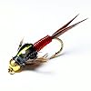BH-Copper-John-Fly-Fishing-Nymph-Trout-Fly-Assortment-Choose-Your-Color-6-Flies