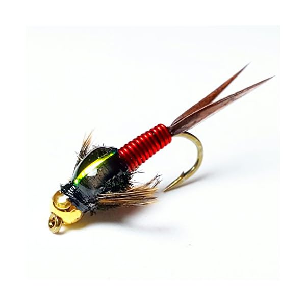BH-Copper-John-Fly-Fishing-Nymph-Trout-Fly-Assortment-Choose-Your-Color-6-Flies