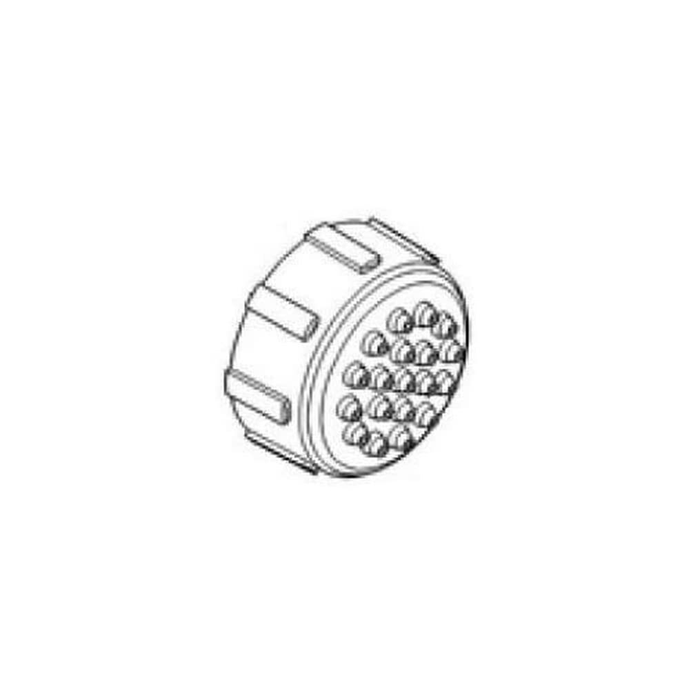 GROHE Spray Faceplate Chrome 45147000